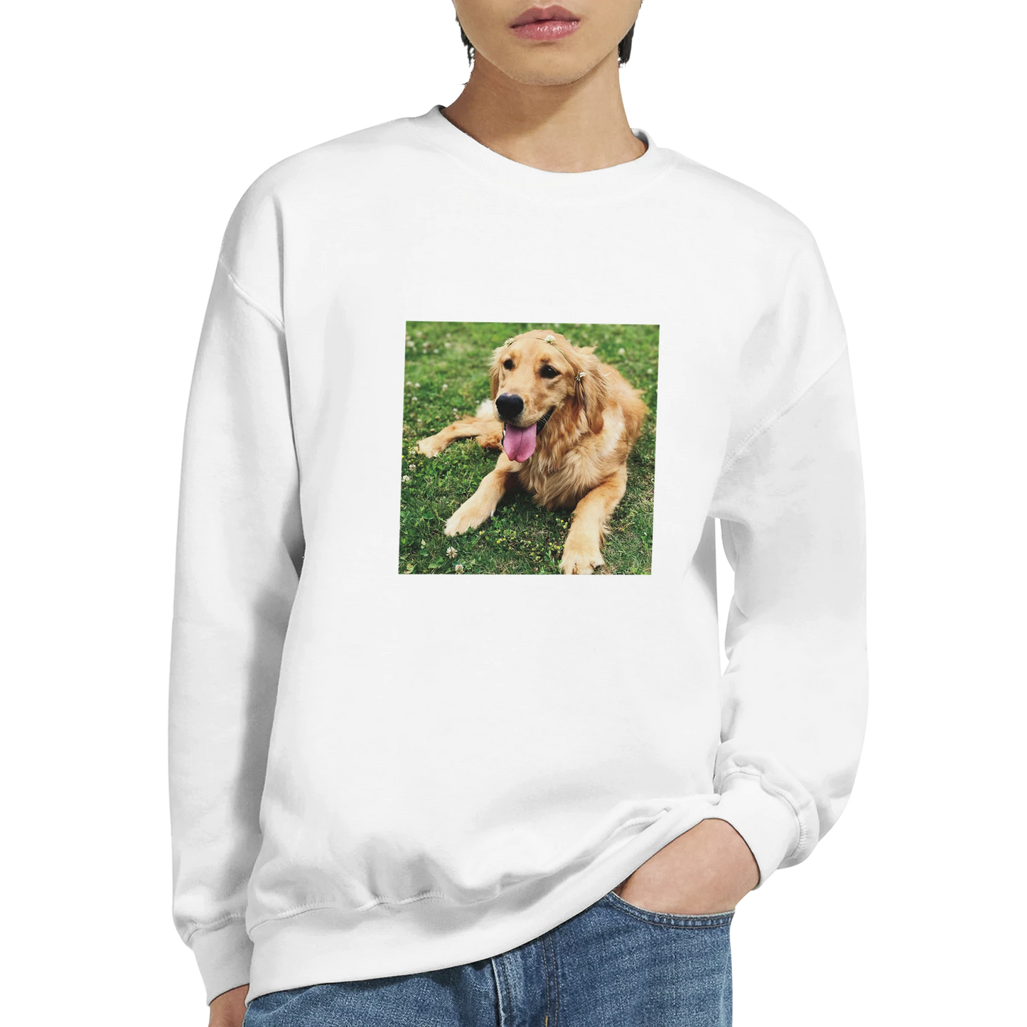 Custom Pet Sweatshirt with a sample pet photo, view 5