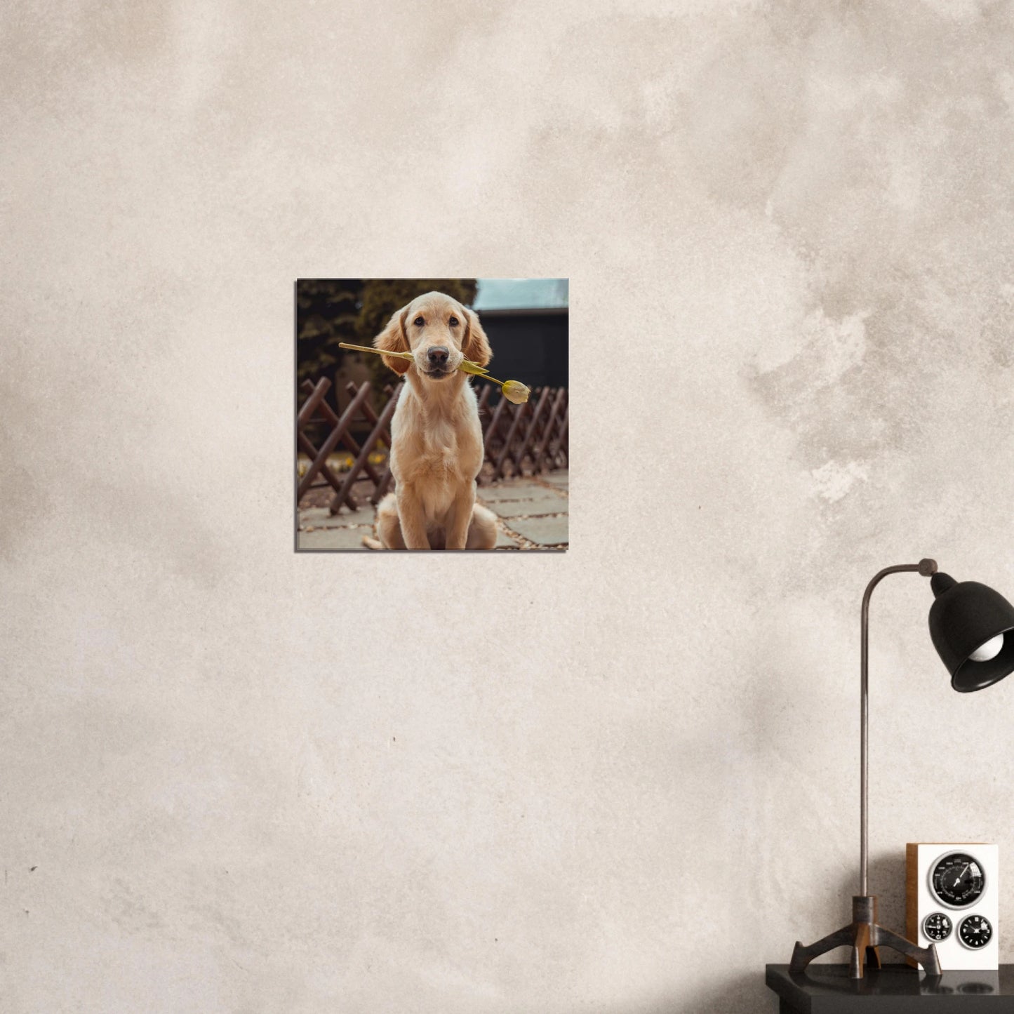 Custom Pet Canvas with a sample pet photo, view 6