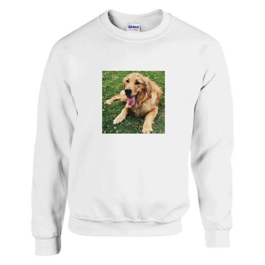 Custom pet sweatshirt with your dog or cat's photo printed on the front of a crewneck
