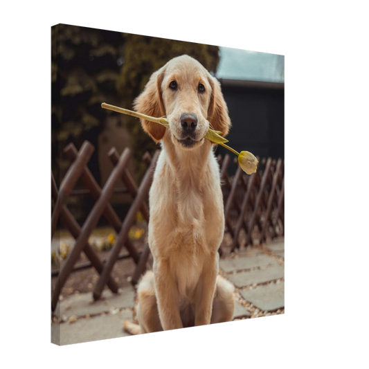 Custom pet canvas print of a dog's photo, stretched and hanging as gallery wall art