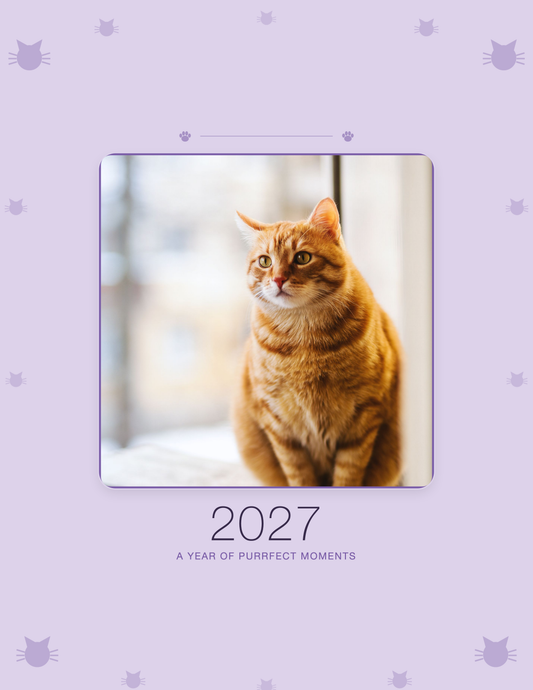 Custom cat calendar — 2027 personalized cat photo wall calendar cover with a real cat photo