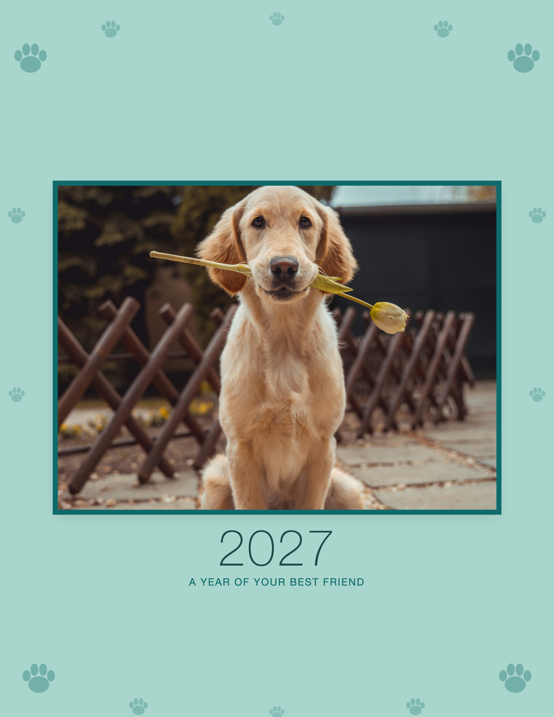 How to make a pet photo calendar: a personalized pet photo wall calendar built from twelve phone photos of a dog