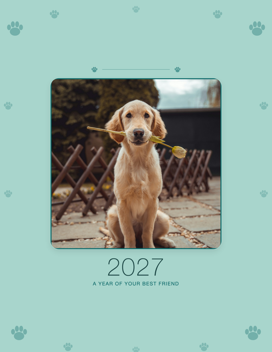National Dog Day gifts: personalized dog photo wall calendar made from your dog's photos