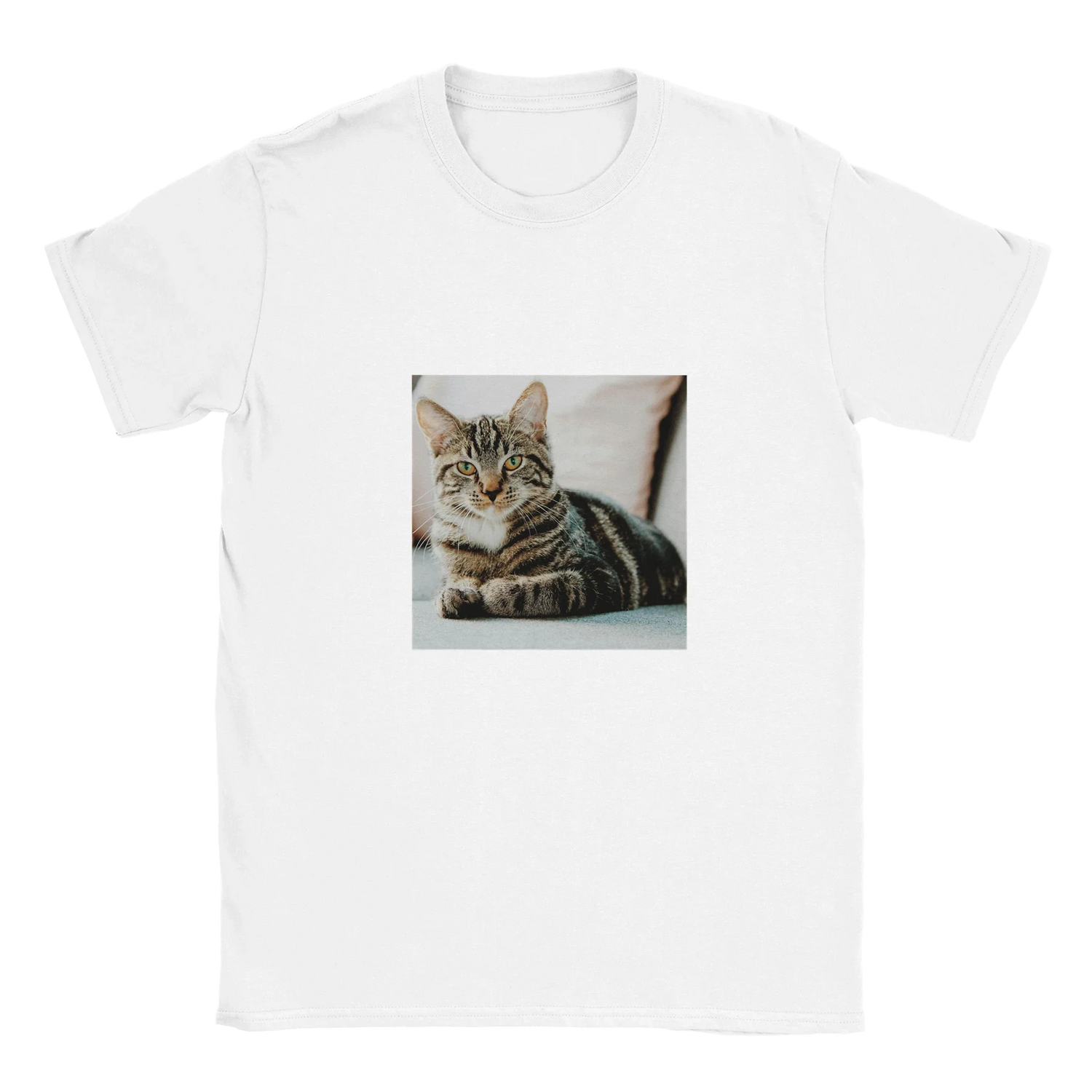 Apparel