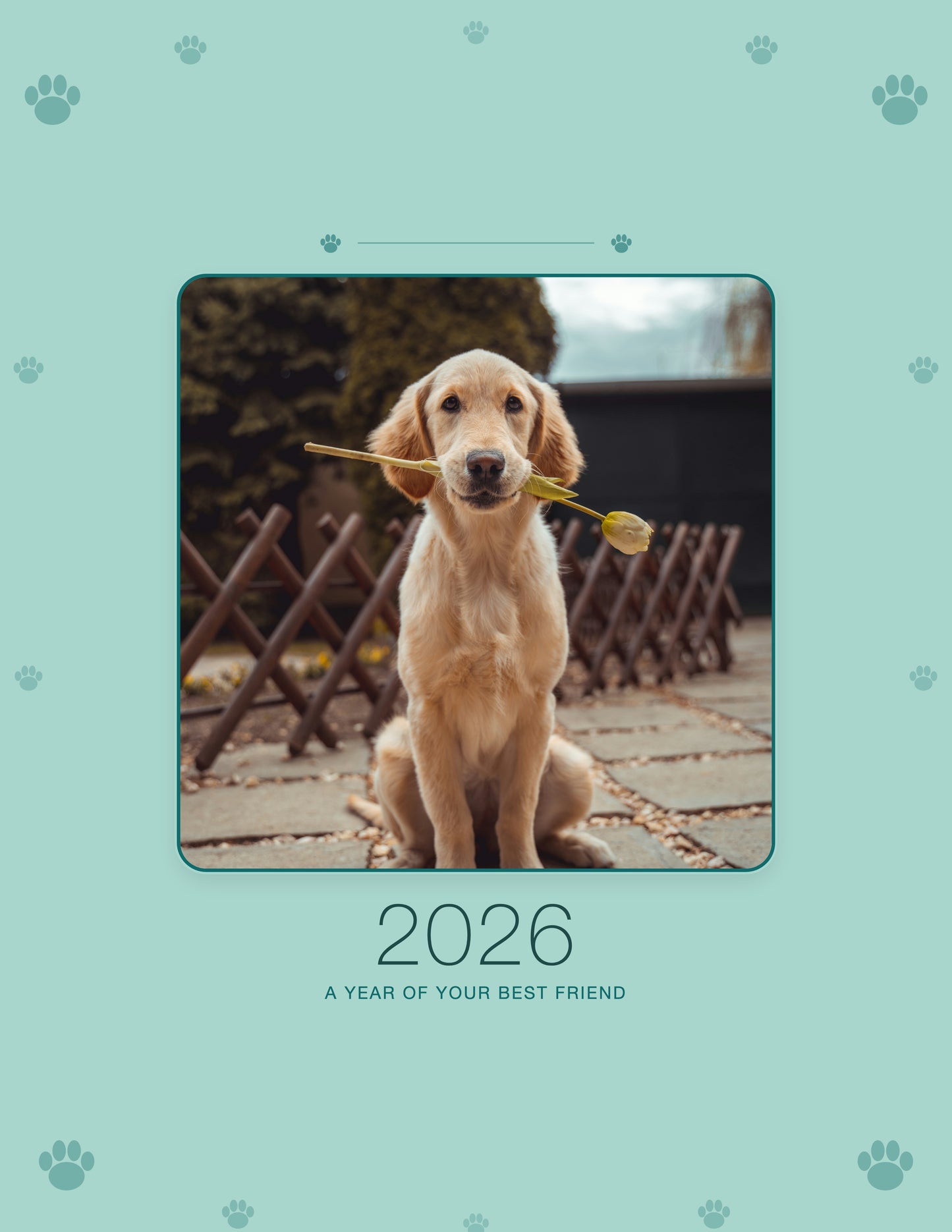 2026 Personalized Pet Photo Wall Calendar, golden retriever puppy cover