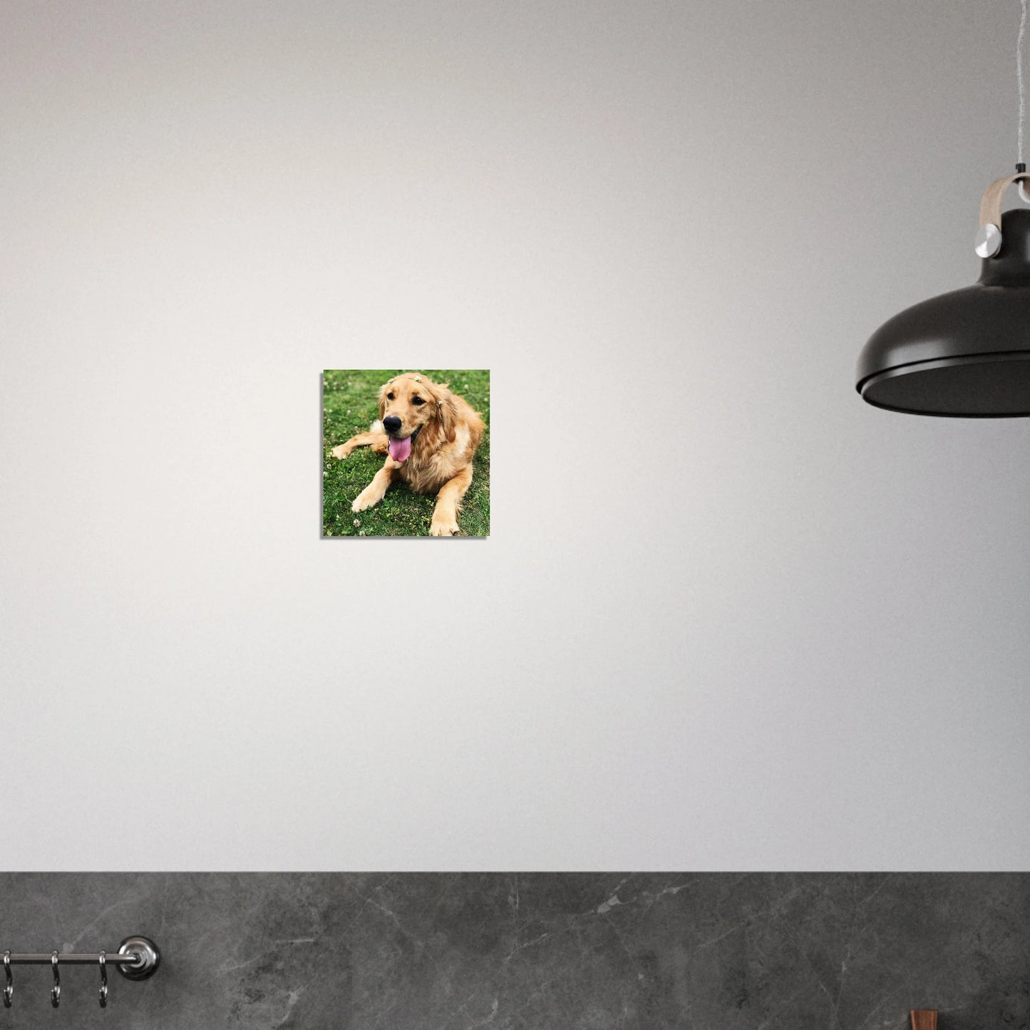 Custom Pet Metal Print with a sample pet photo, view 6