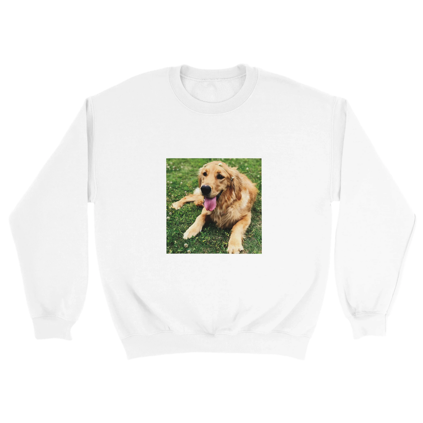 Custom Pet Sweatshirt with a sample pet photo, view 6