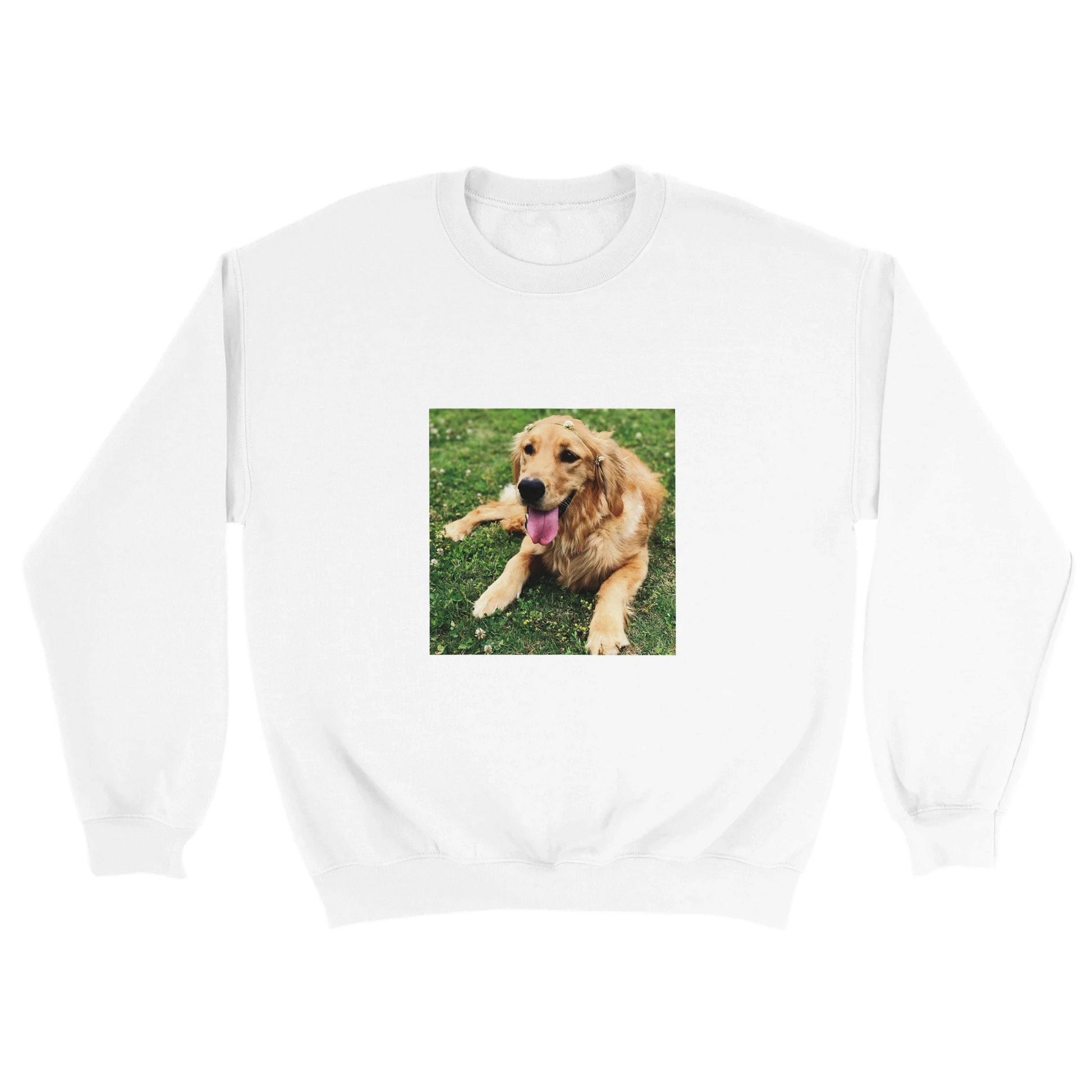 Custom Pet Sweatshirt with a sample pet photo, view 6
