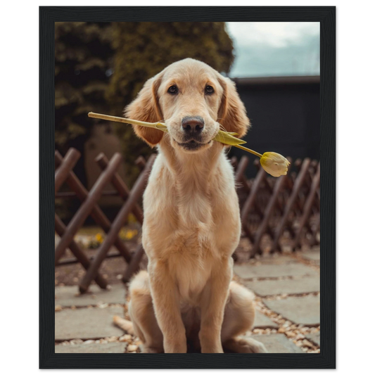 Custom Pet Framed Poster with a sample pet photo, view 1