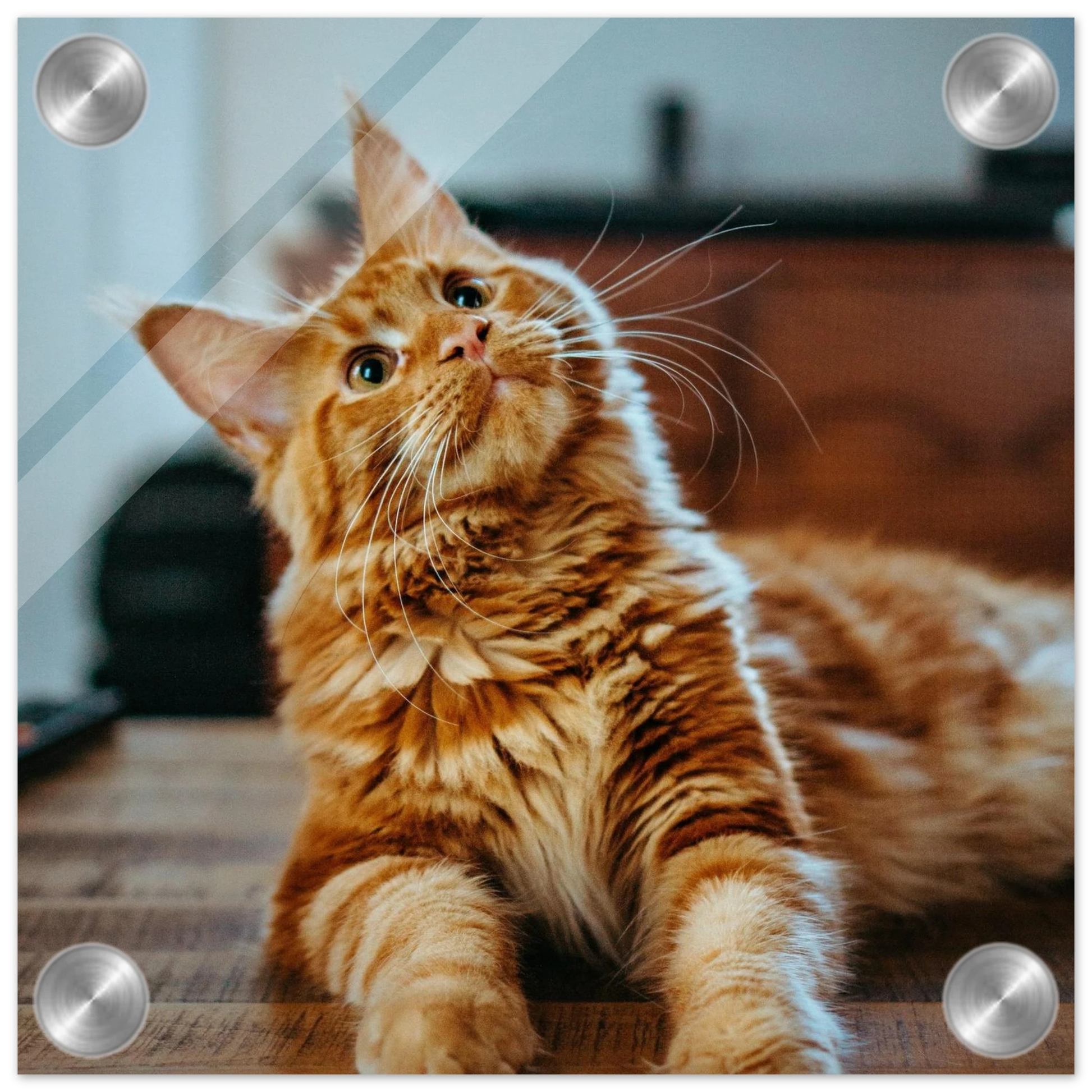 Custom Pet Acrylic Print with a sample pet photo, view 2