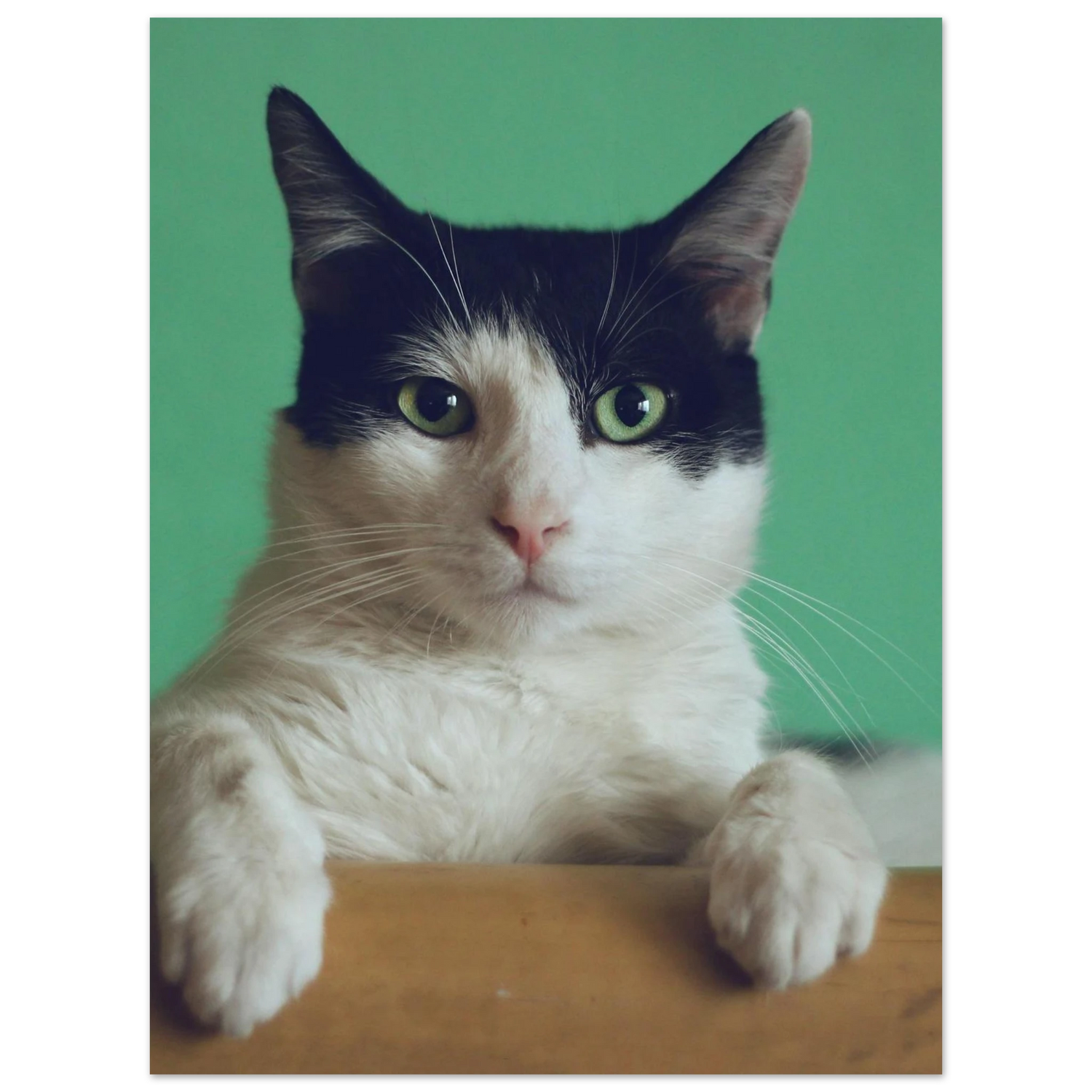 Custom Pet Art Print with a sample pet photo, view 1