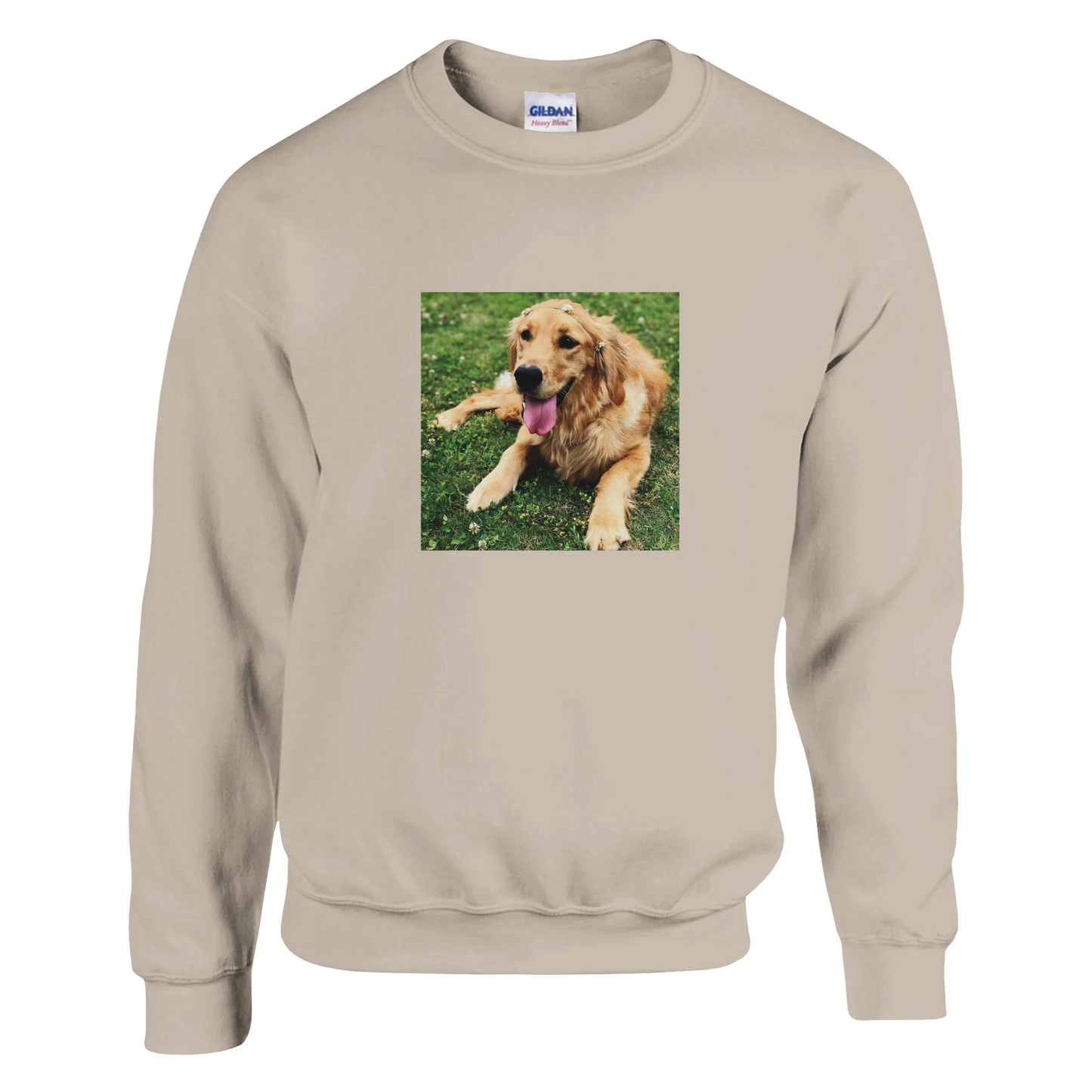 Custom Pet Sweatshirt with a sample pet photo, view 4