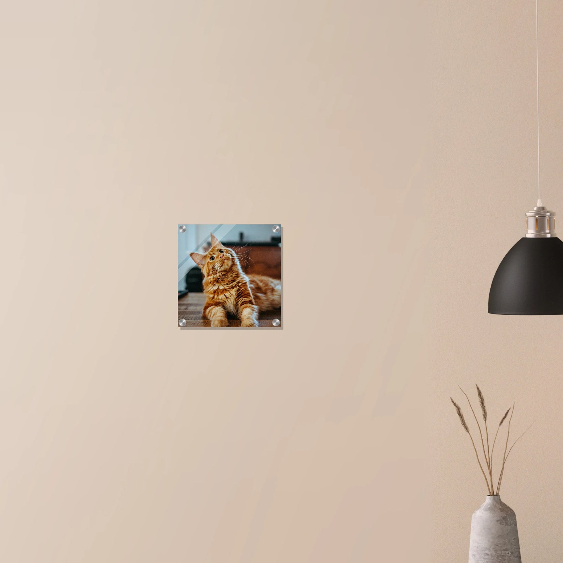 Custom Pet Acrylic Print with a sample pet photo, view 5