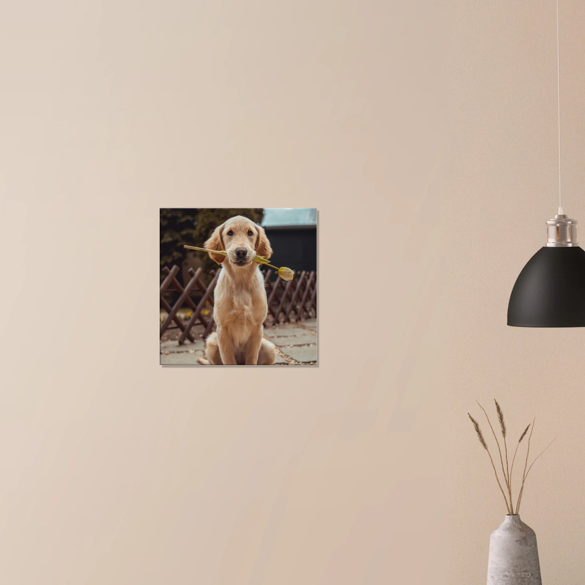 Custom Pet Canvas with a sample pet photo, view 5