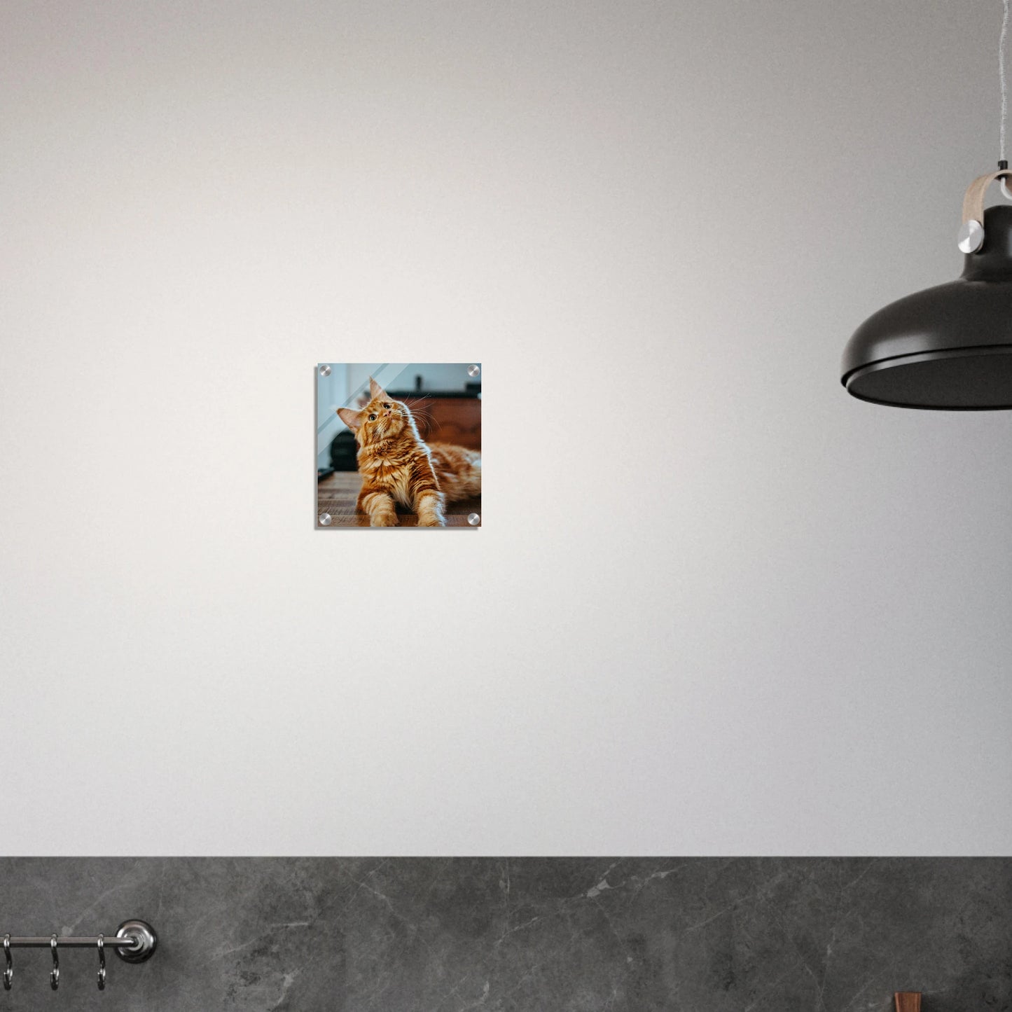 Custom Pet Acrylic Print with a sample pet photo, view 6