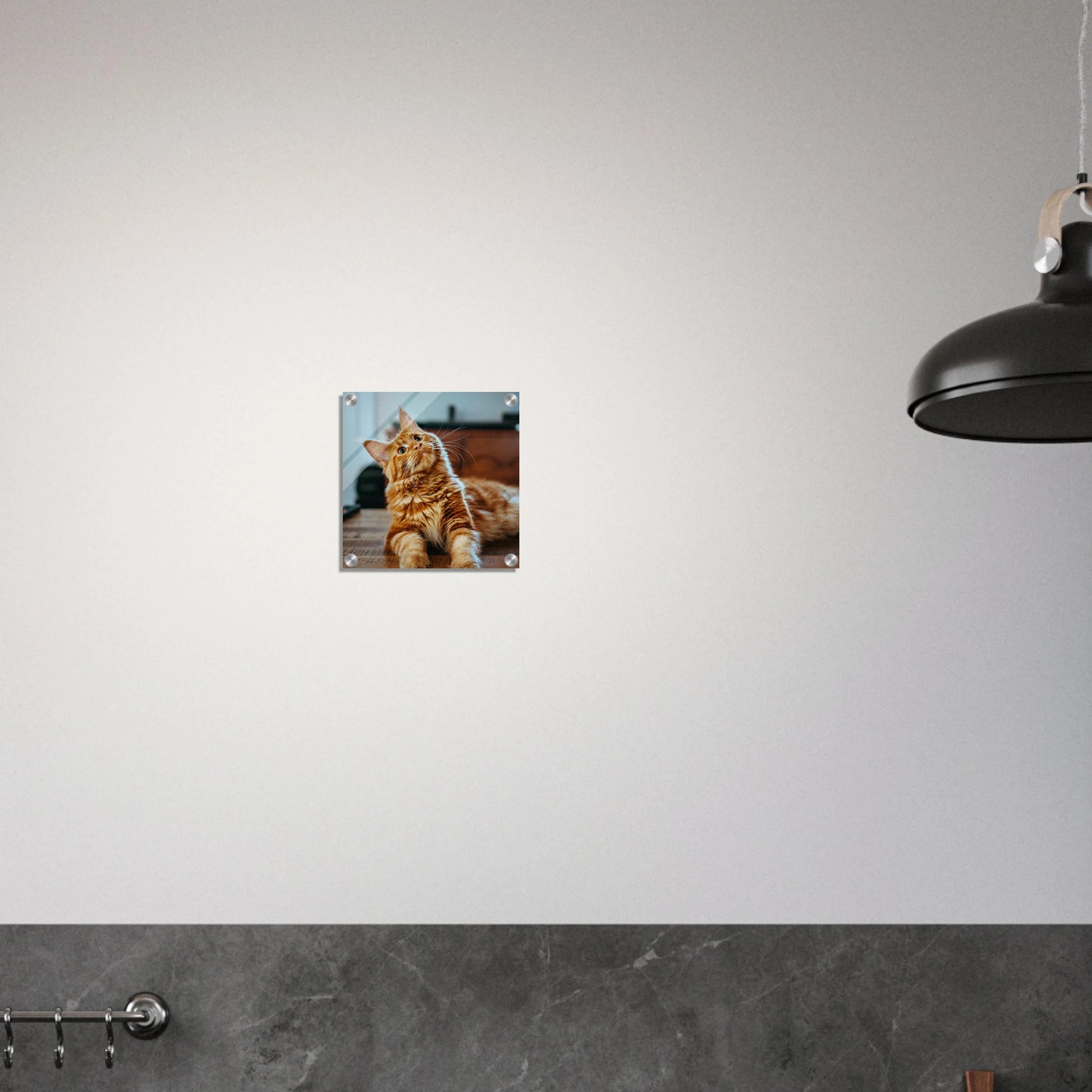 Custom Pet Acrylic Print with a sample pet photo, view 6