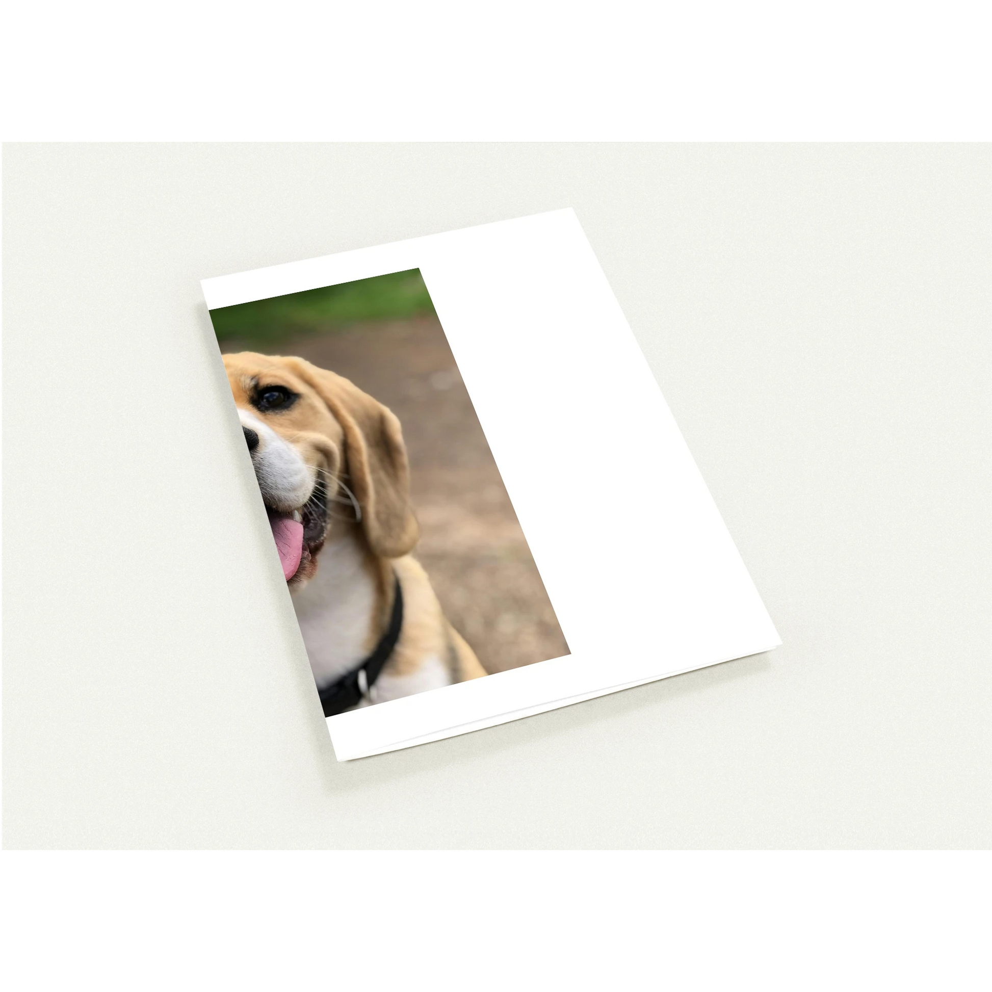 Custom Pet Greeting Cards (Pack of 10) with a sample pet photo