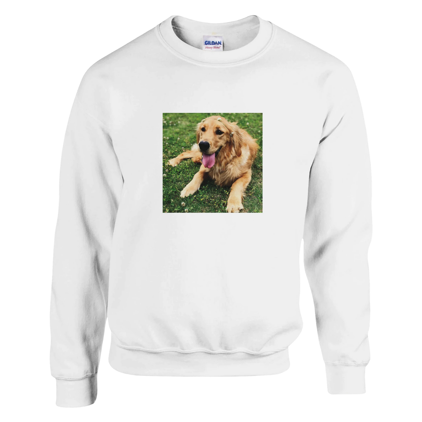 Custom Pet Sweatshirt with a sample pet photo, view 1
