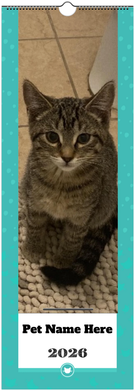 cf4da383-e6f8-443b-b82d-2a40446cbcb2