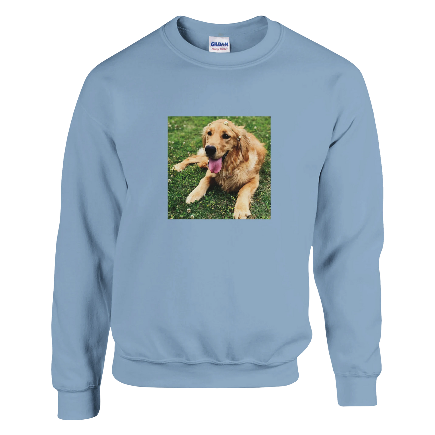 Custom Pet Sweatshirt with a sample pet photo, view 2