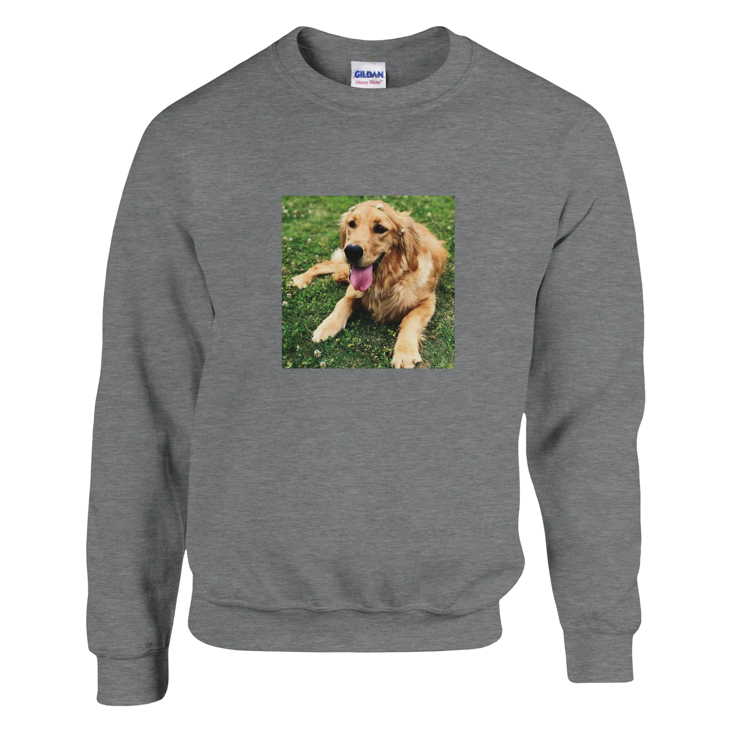 Custom Pet Sweatshirt with a sample pet photo, view 3