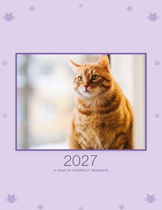 Personalized Cat Photo Wall Calendar 2027 shown with a sample pet photo on the cover