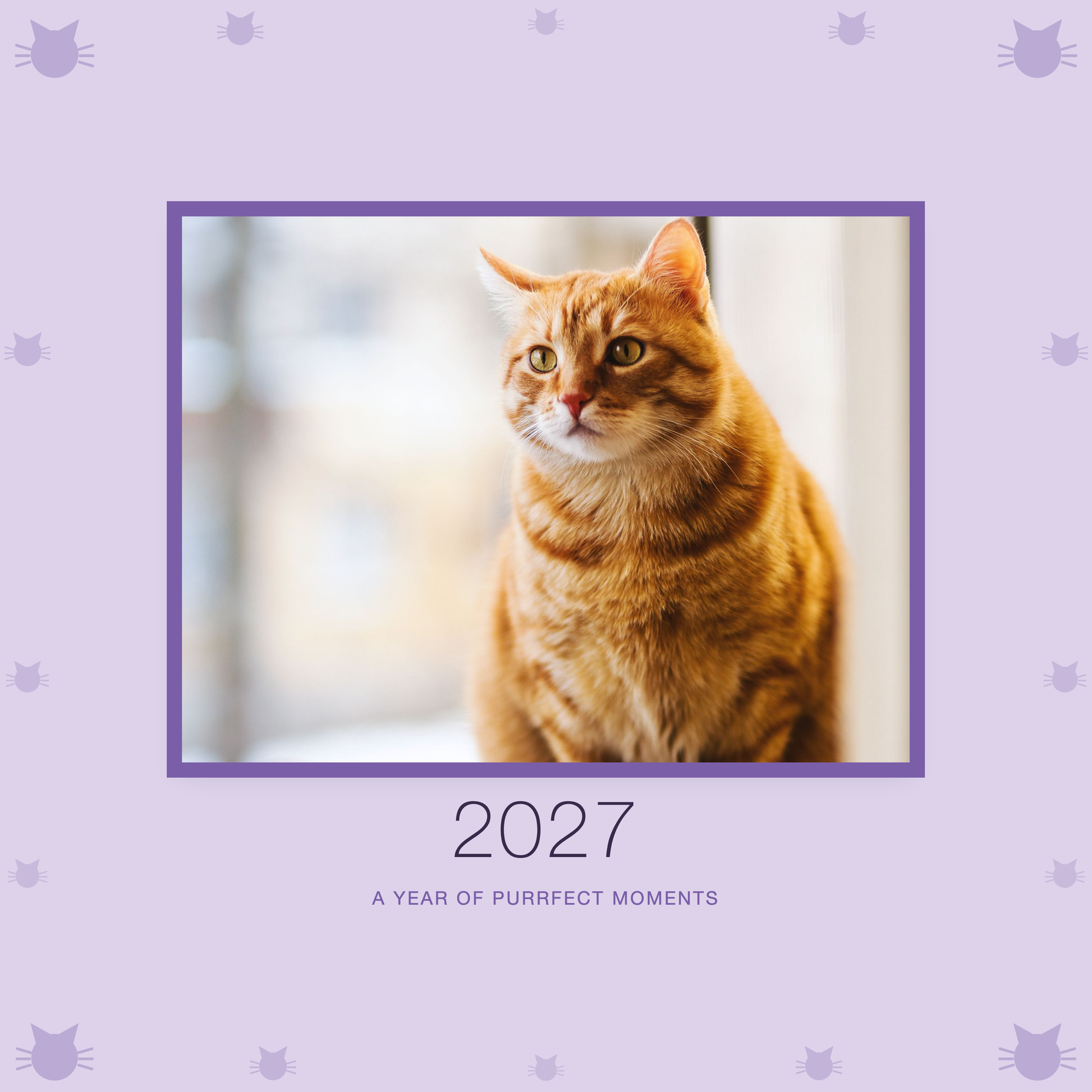 2027 cat calendar cover with sample pet photo