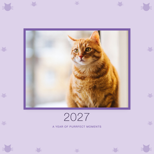 2027 cat calendar cover with sample pet photo