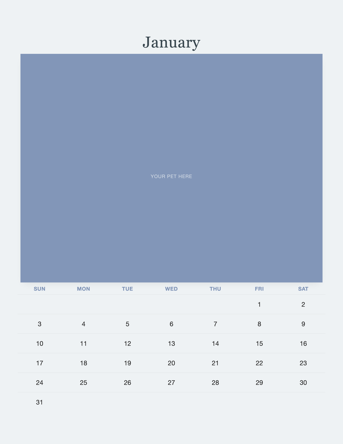 January page of the Pet Memorial Calendar 2027 — In Loving Memory, with a photo area above the date grid