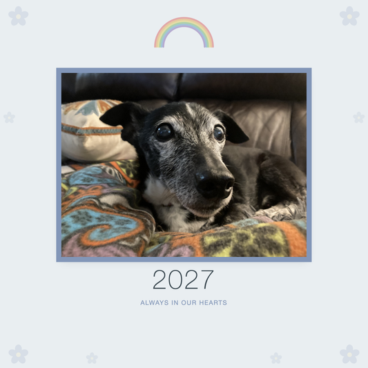 Pet Memorial Calendar 2027: In Loving Memory, shown with a sample pet photo on the cover