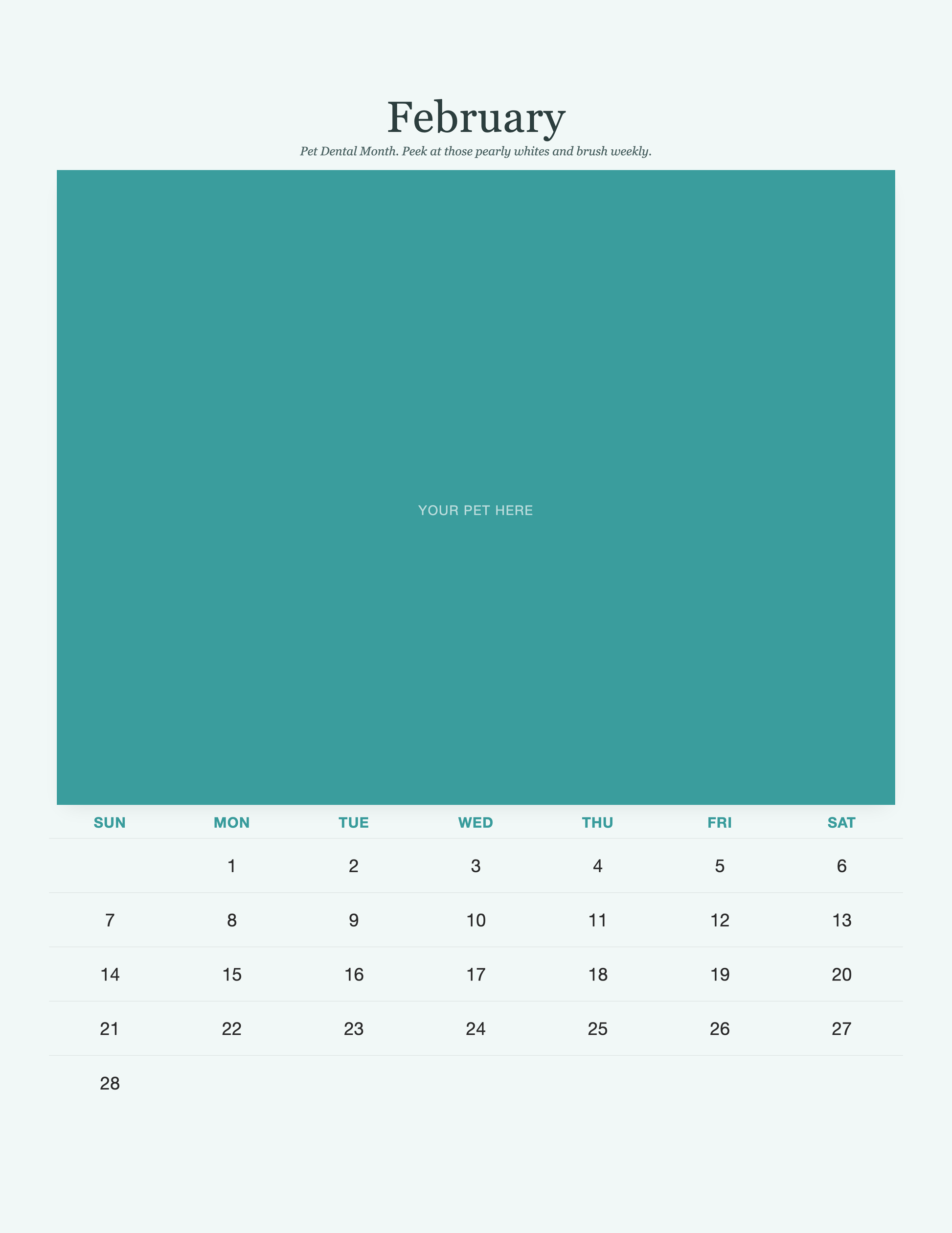 pet-calendar-2027-petcare-pages 02-february