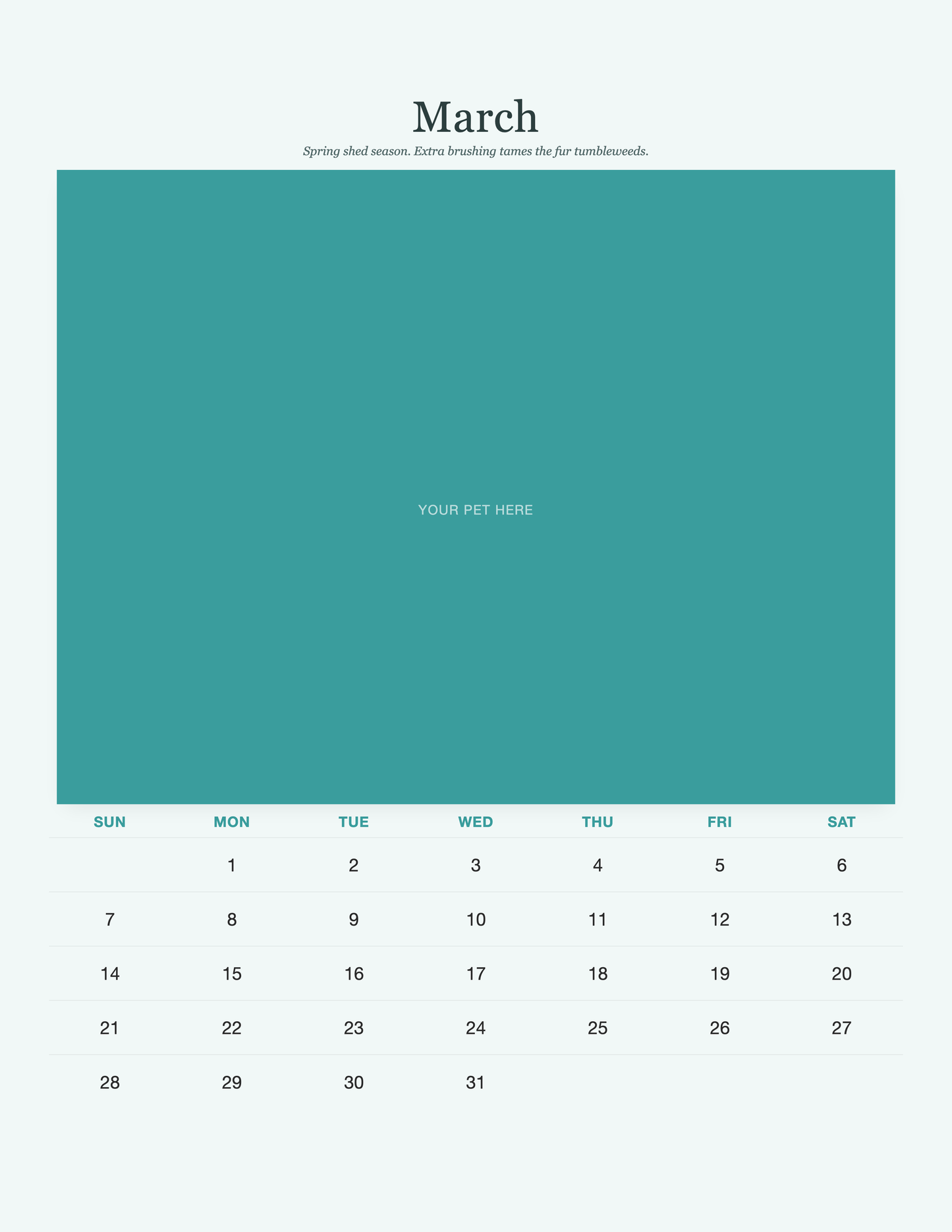 pet-calendar-2027-petcare-pages 03-march