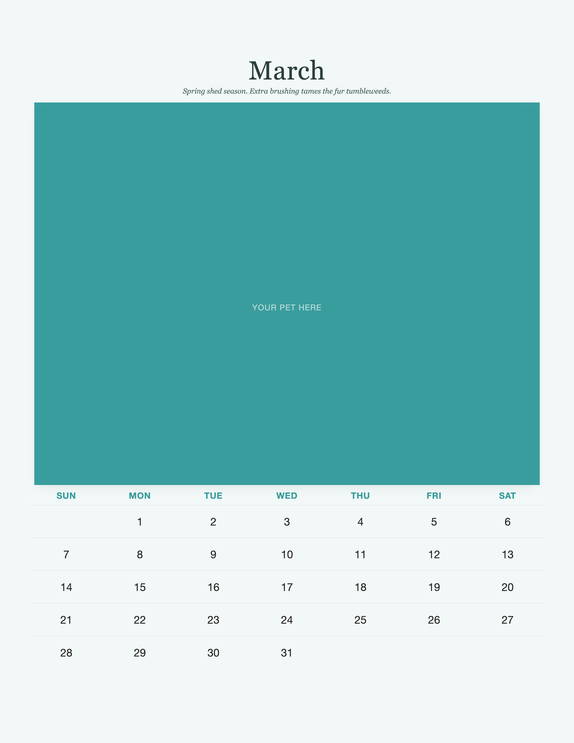 pet-calendar-2027-petcare-pages 03-march