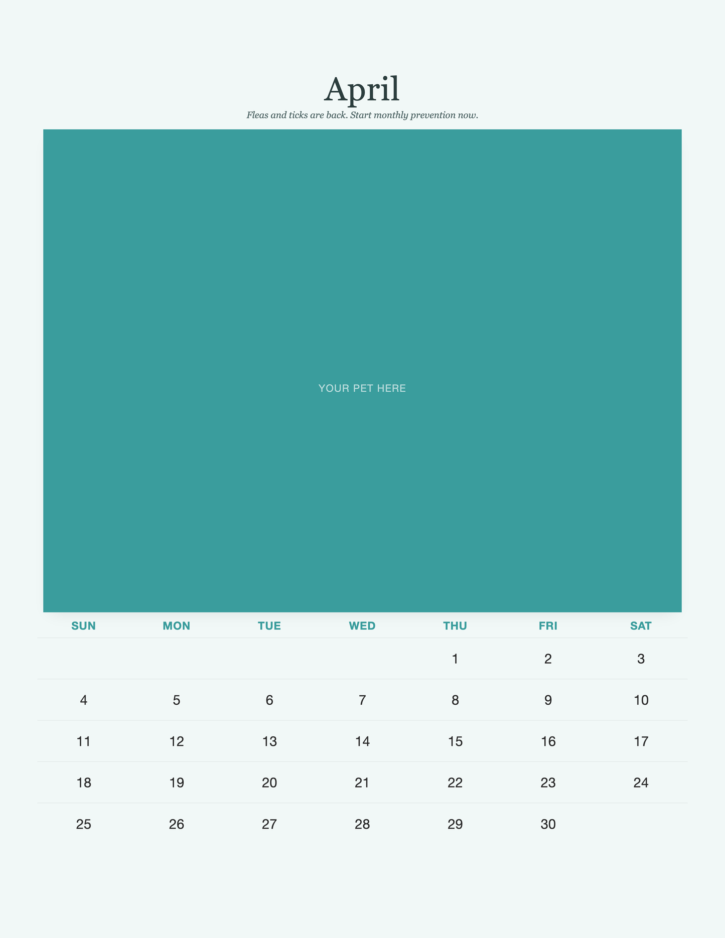 pet-calendar-2027-petcare-pages 04-april