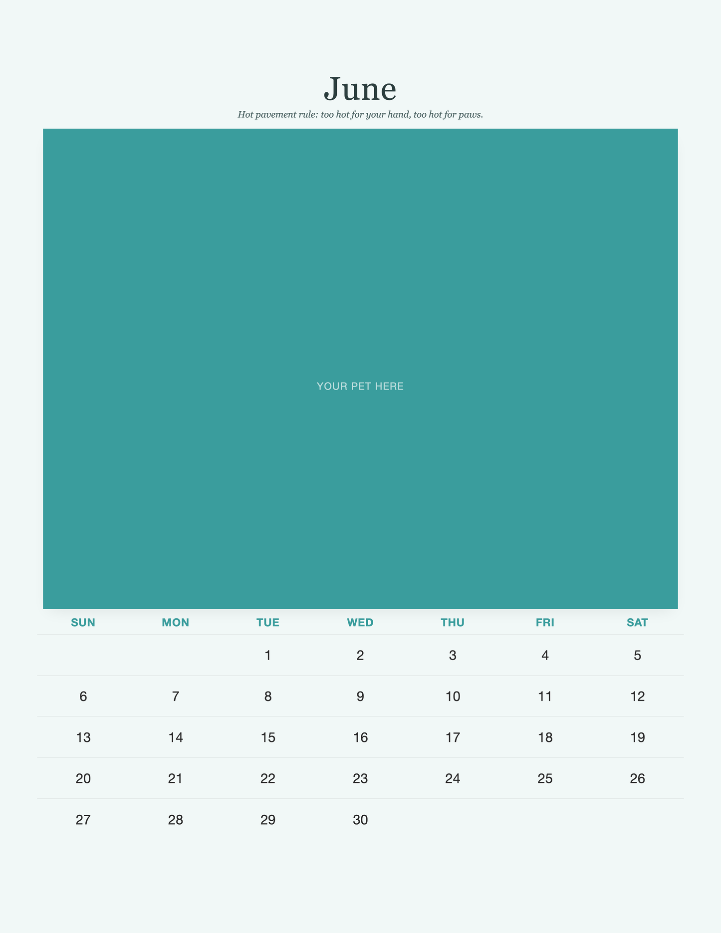 pet-calendar-2027-petcare-pages 06-june
