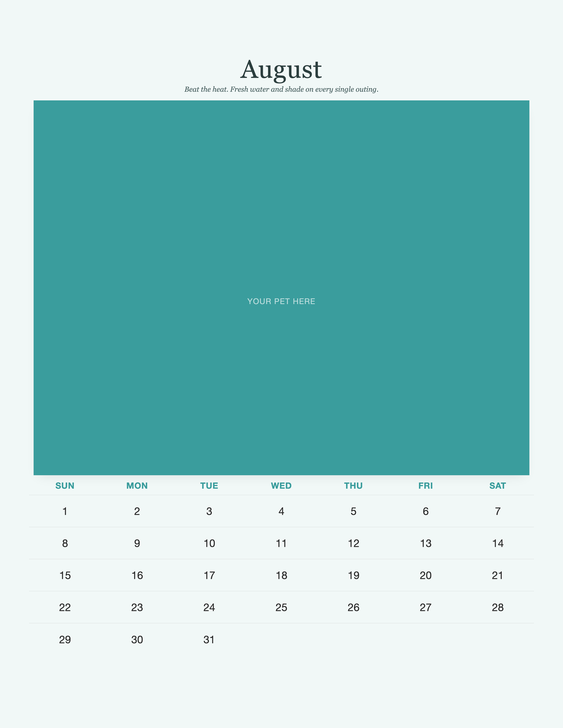 pet-calendar-2027-petcare-pages 08-august