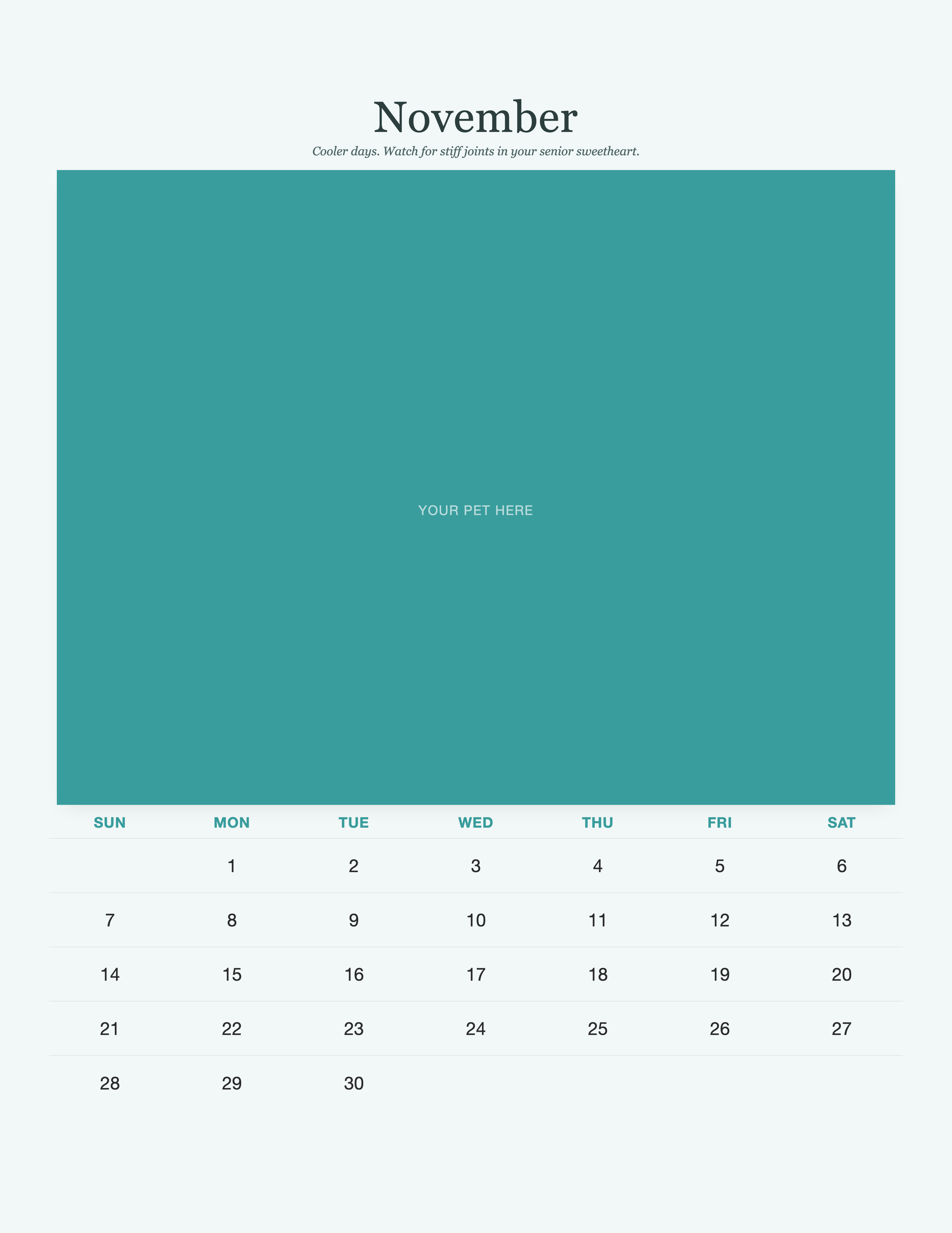 pet-calendar-2027-petcare-pages 11-november