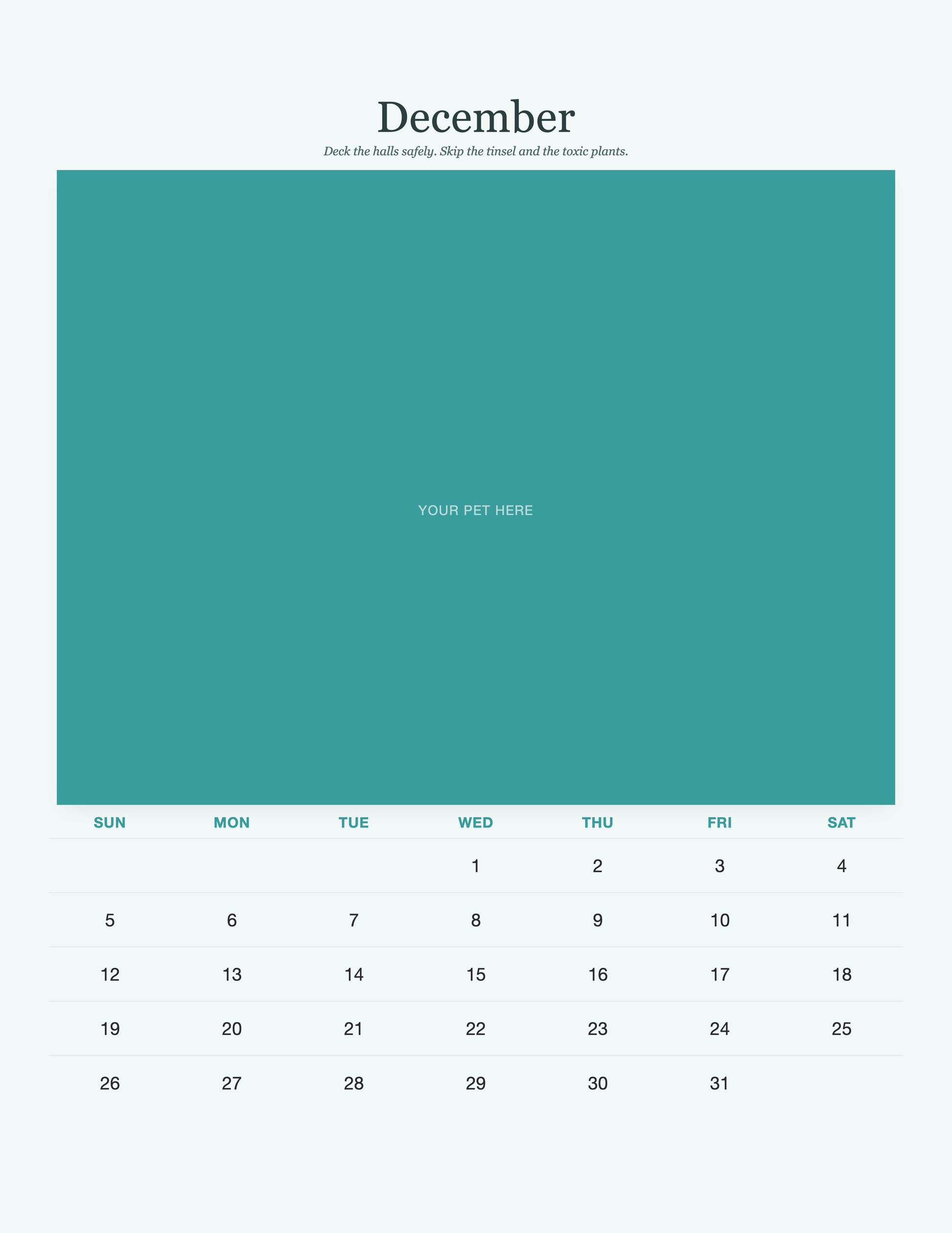 pet-calendar-2027-petcare-pages 12-december