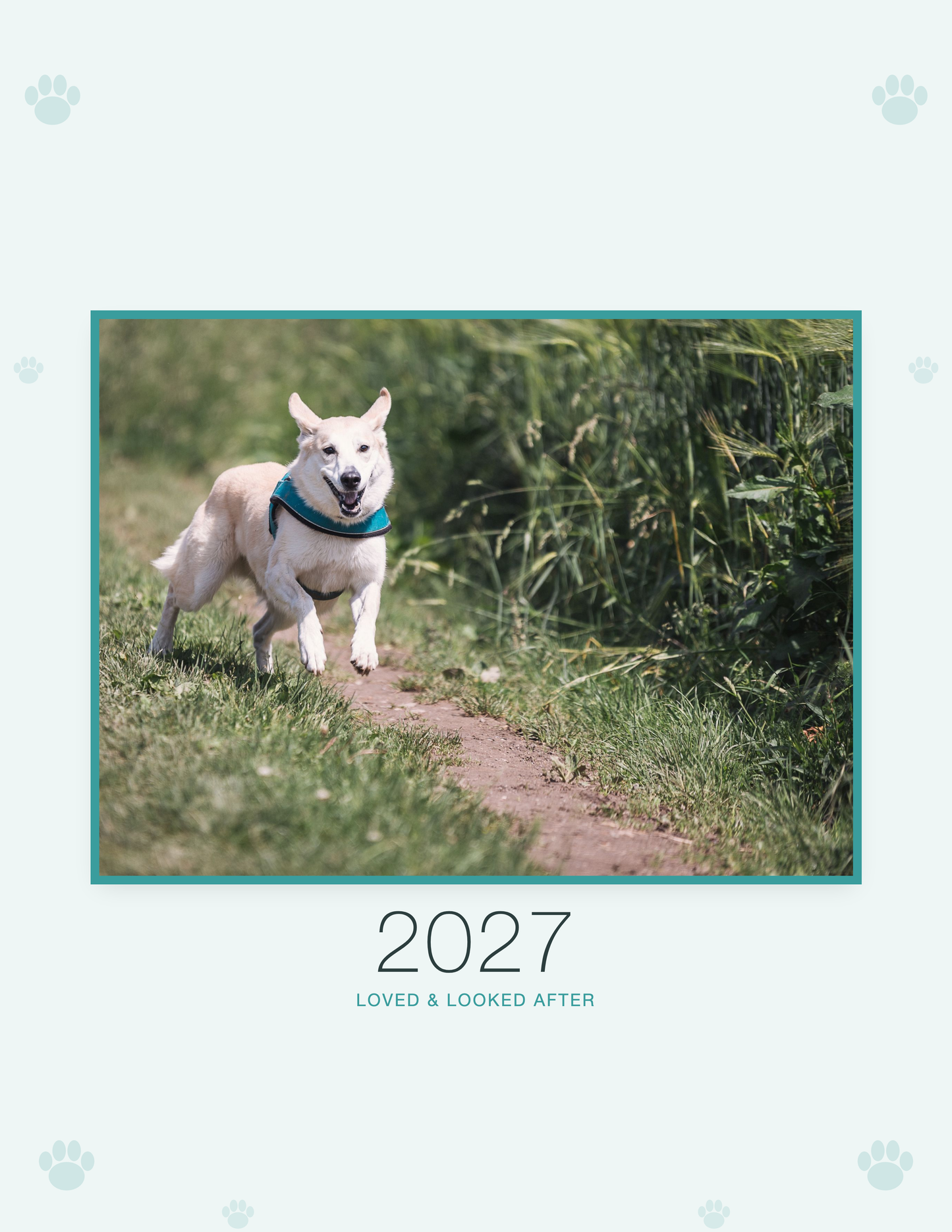 2027 petcare calendar cover with sample pet photo