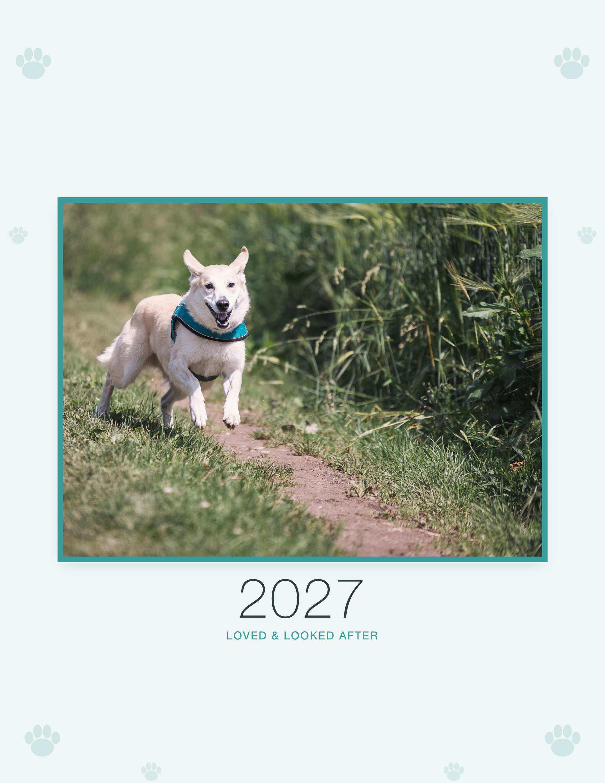2027 petcare calendar cover with sample pet photo