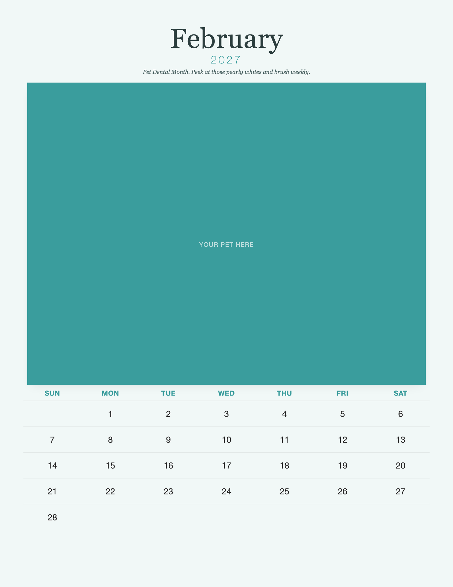 pet-calendar-2027-petcare-pages 02-february