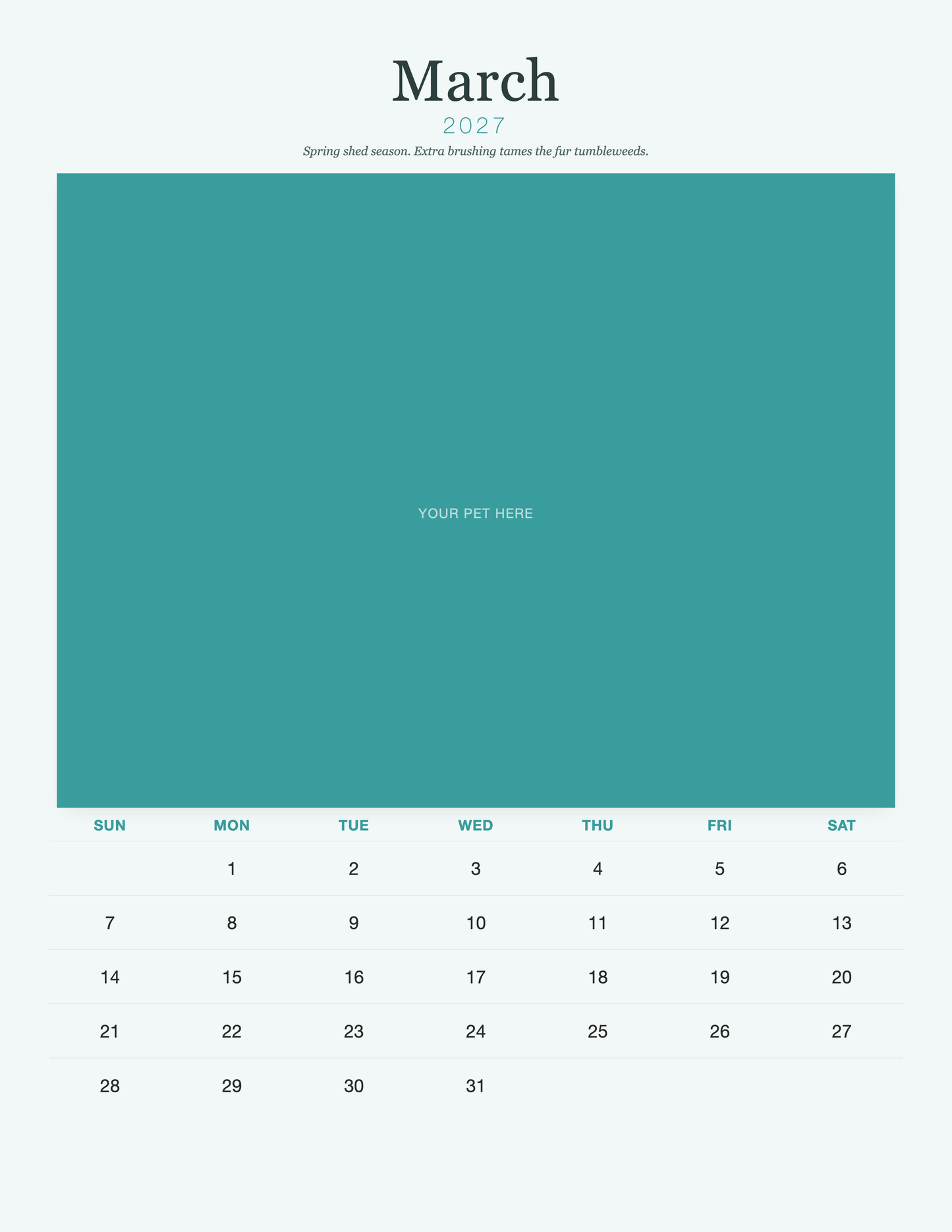 pet-calendar-2027-petcare-pages 03-march