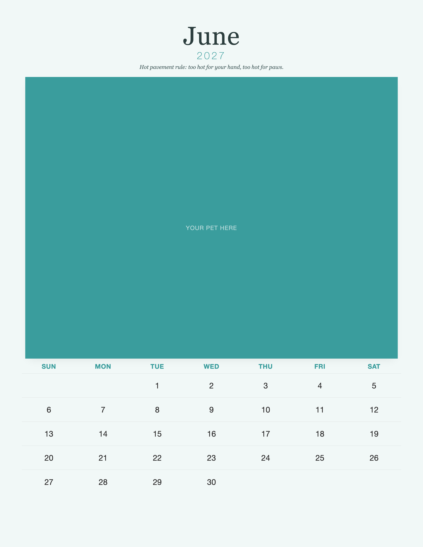 pet-calendar-2027-petcare-pages 06-june