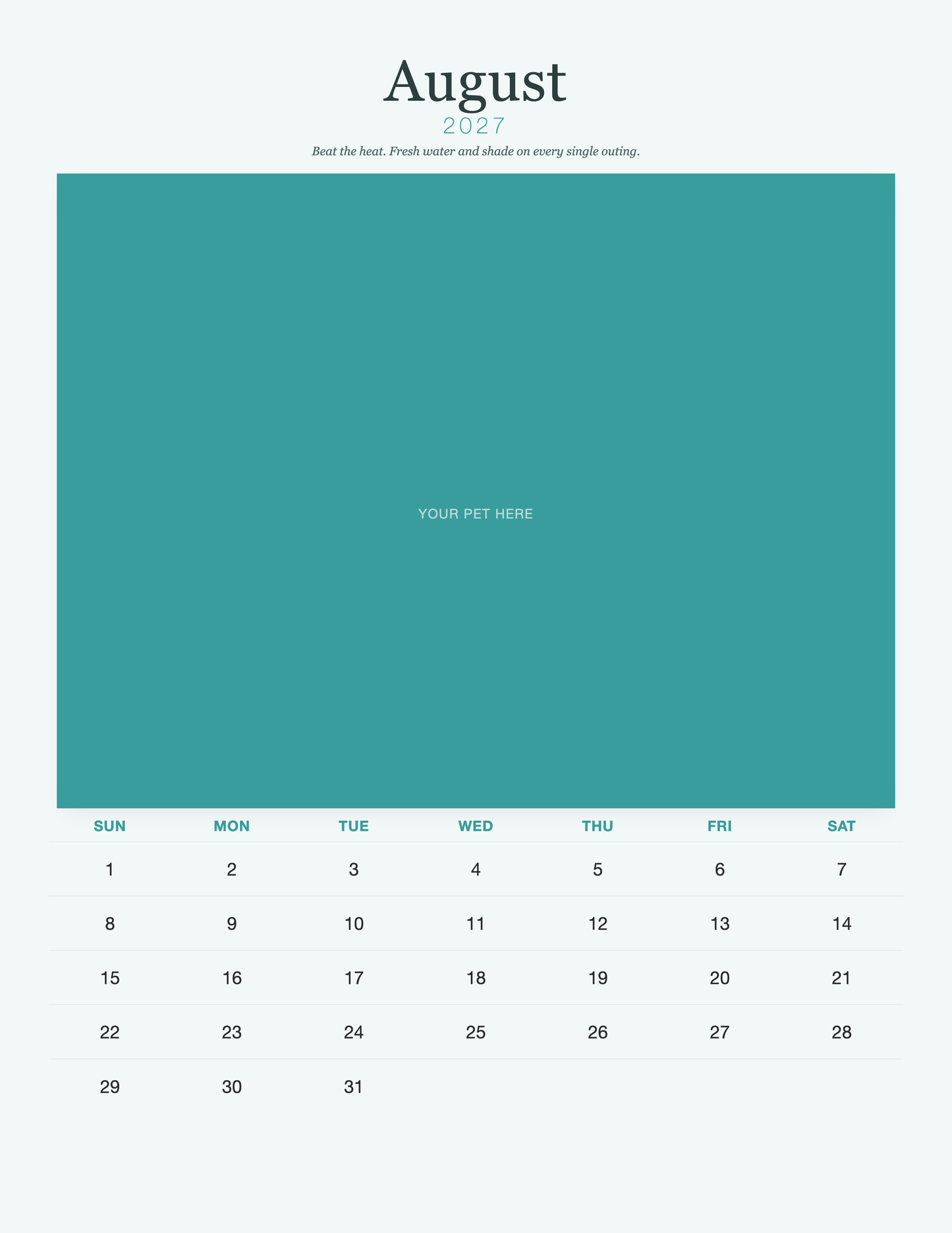 pet-calendar-2027-petcare-pages 08-august