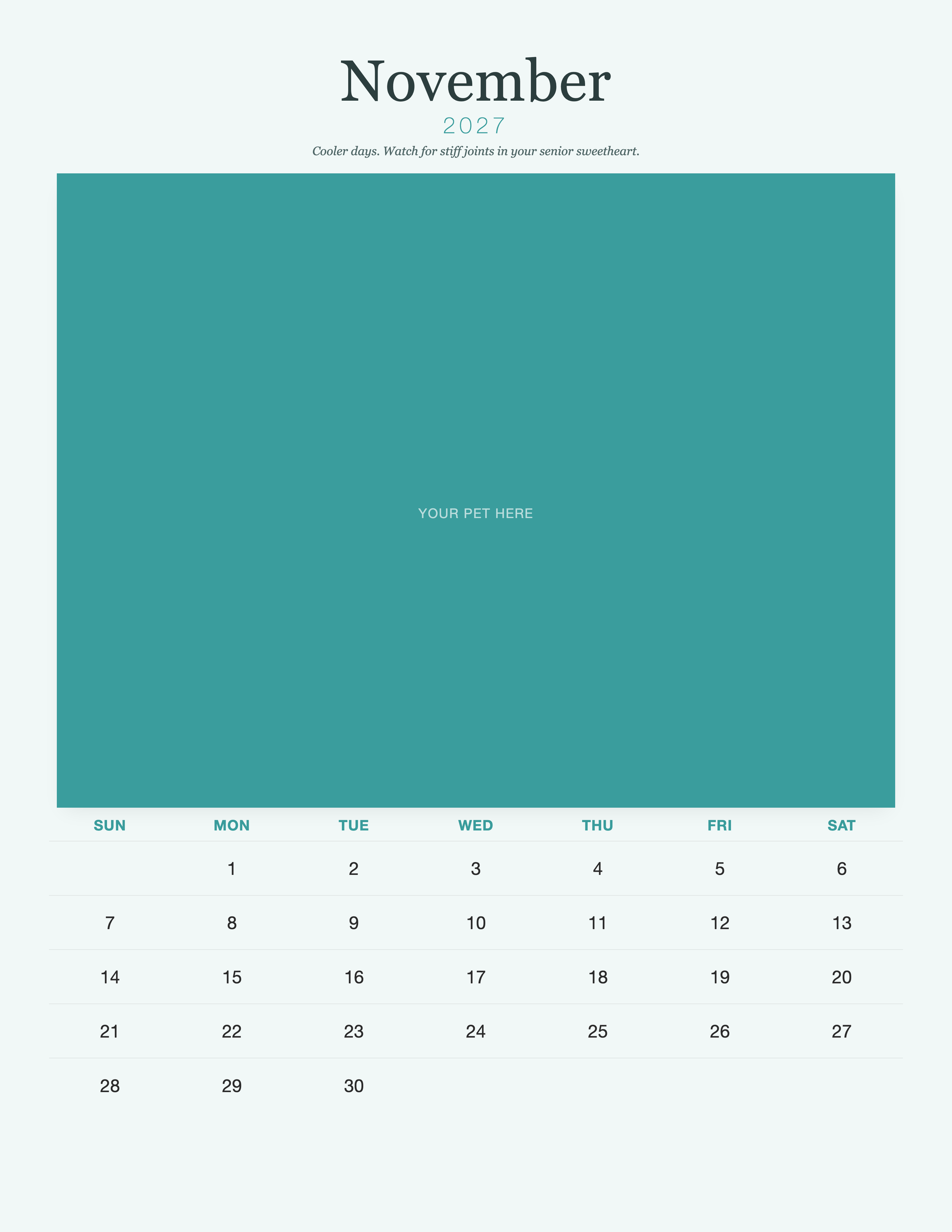 pet-calendar-2027-petcare-pages 11-november