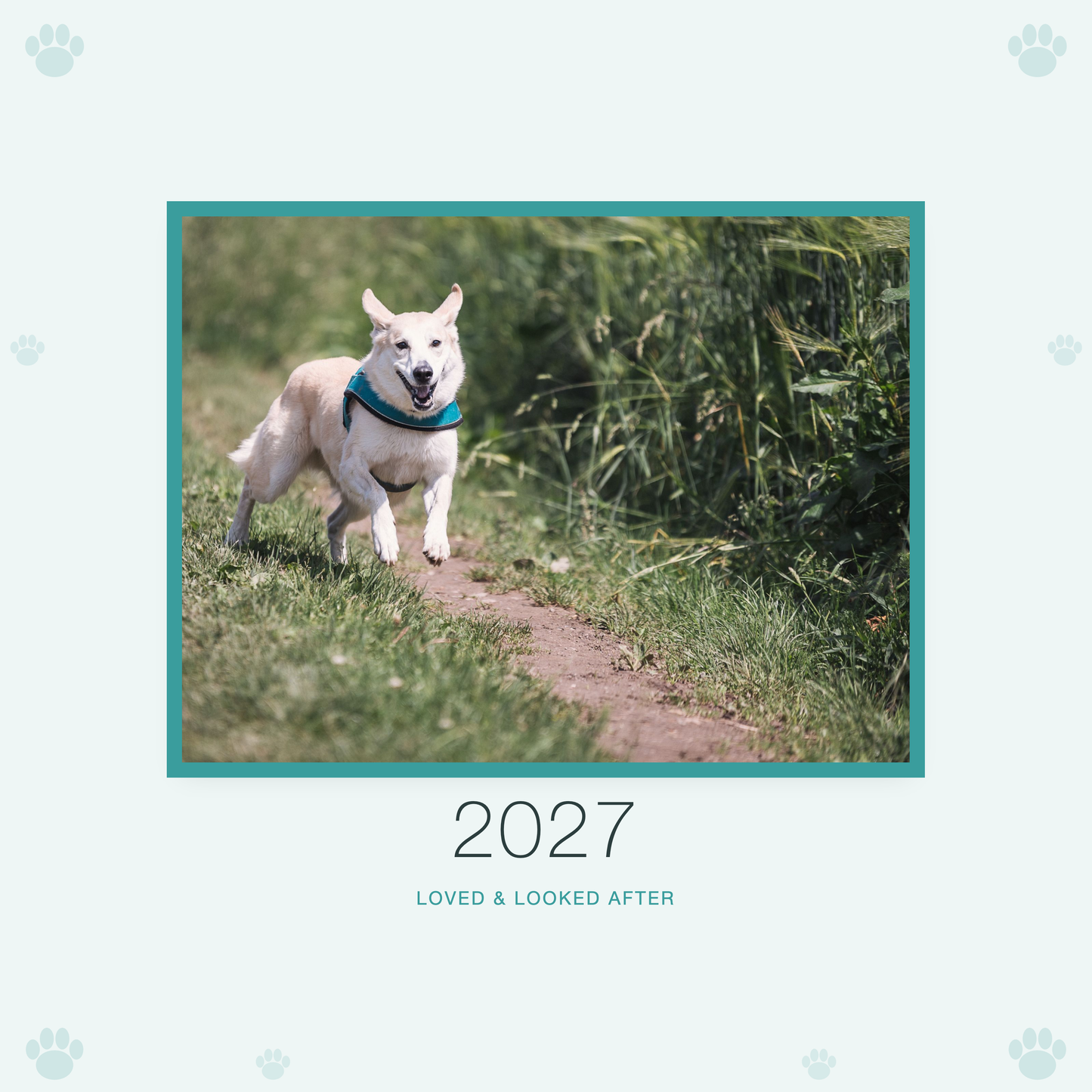2027 petcare calendar cover with sample pet photo