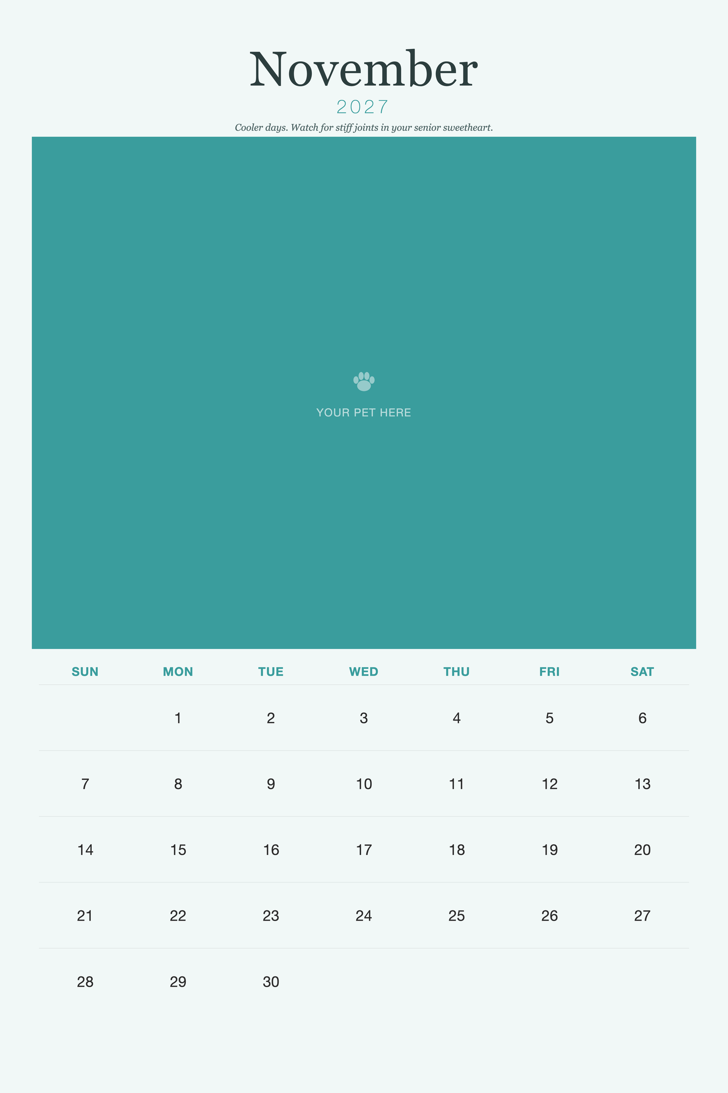 pet-calendar-2027-petcare-xl-pages 11-november
