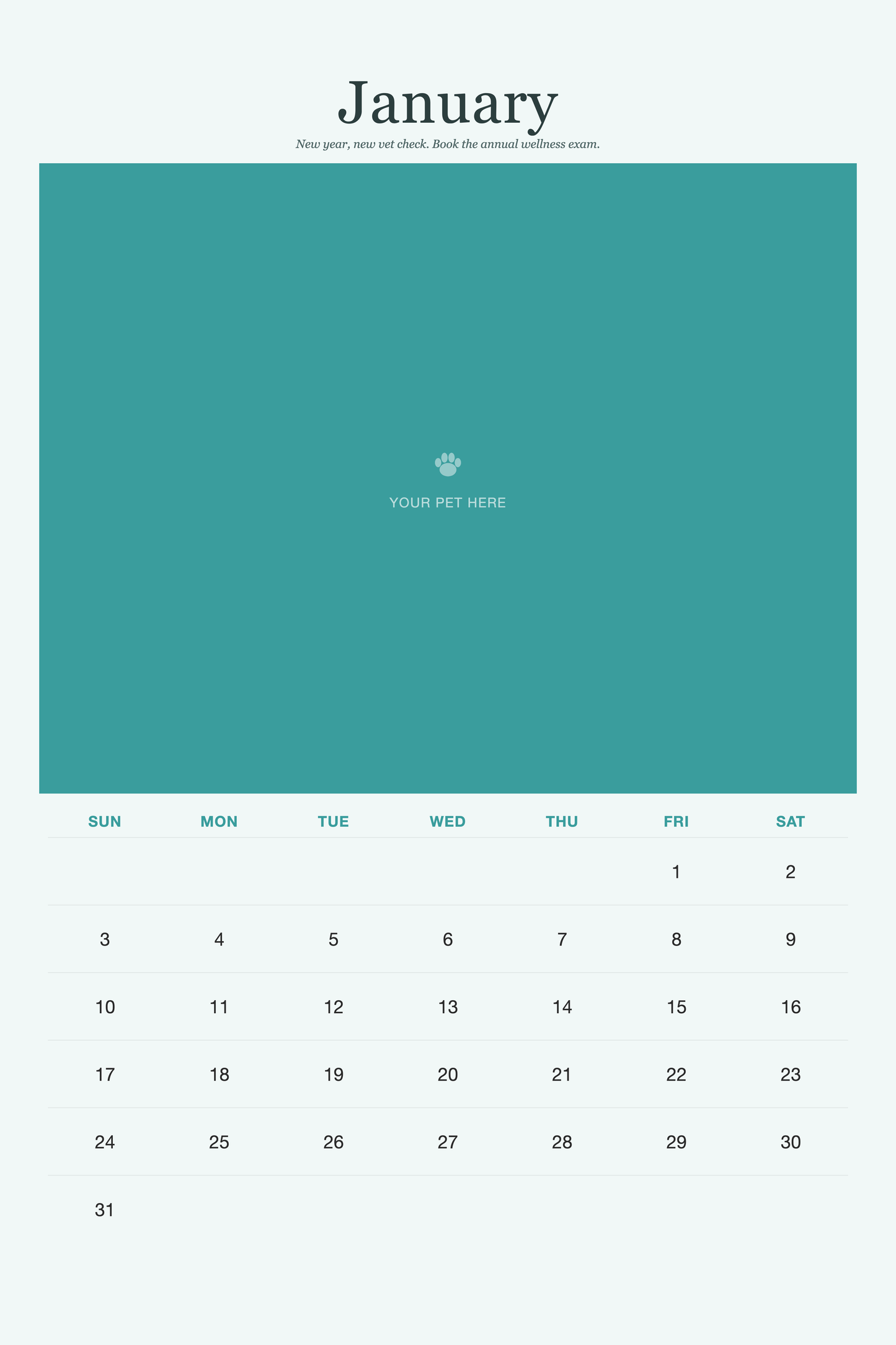 January page of the Pet Care & Keepsake Calendar 2027 — Loved & Looked After, with a photo area above the date grid