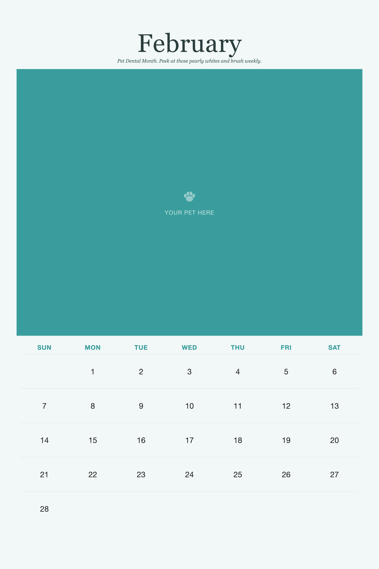 February page of the Pet Care & Keepsake Calendar 2027 — Loved & Looked After, with a photo area above the date grid