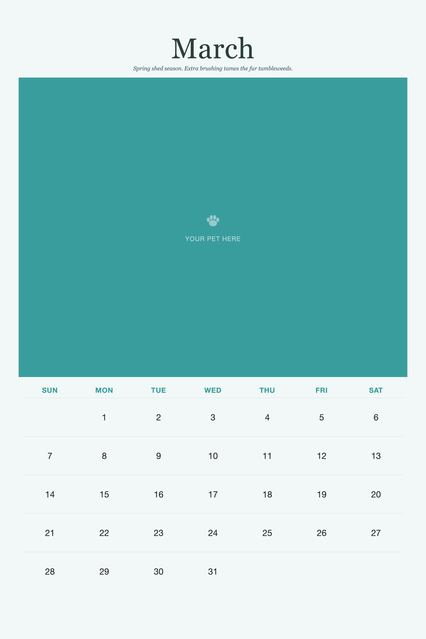 March page of the Pet Care & Keepsake Calendar 2027 — Loved & Looked After, with a photo area above the date grid